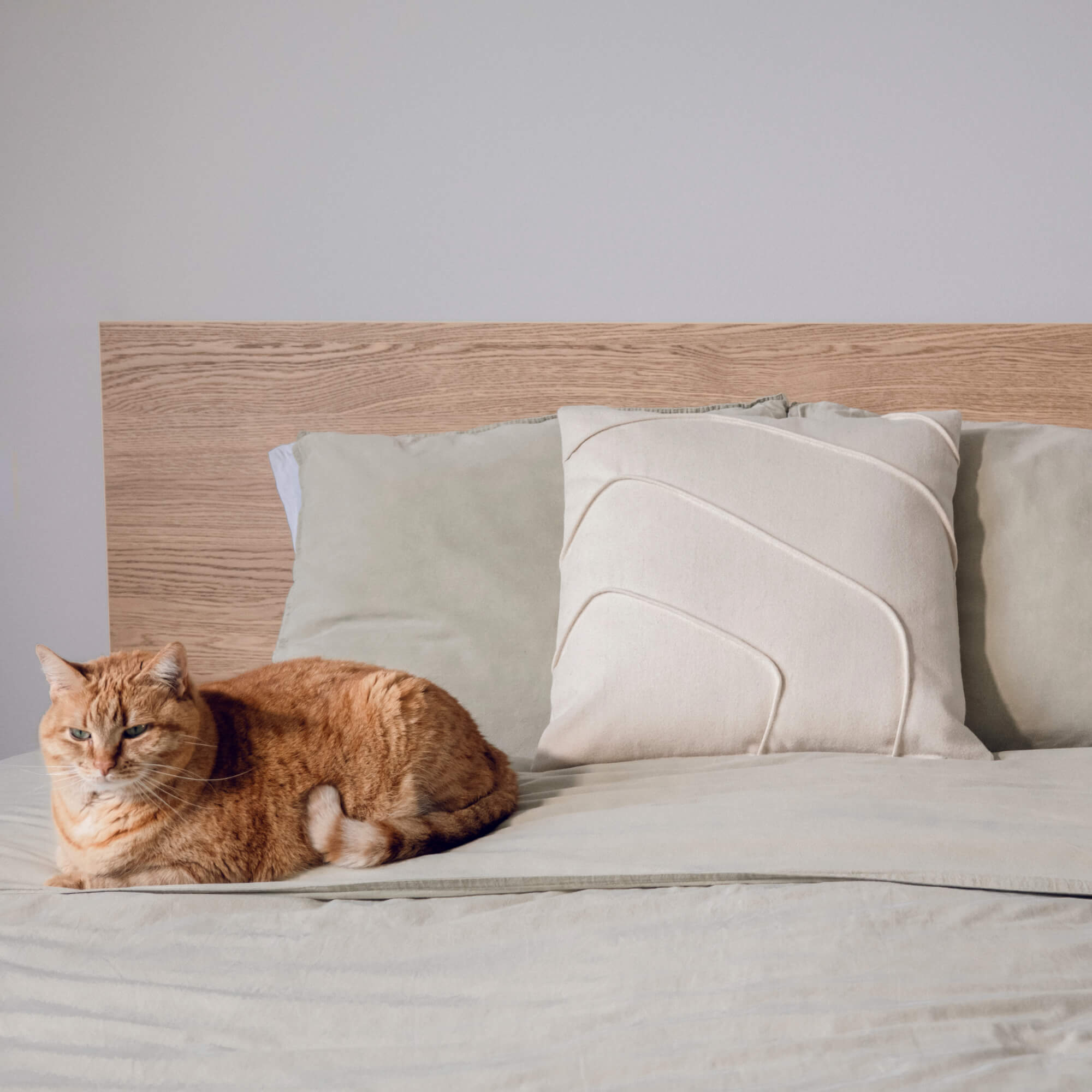 Decorative cushion cover 45 × 45 cm - Mountain Rose - 100% sheep's wool